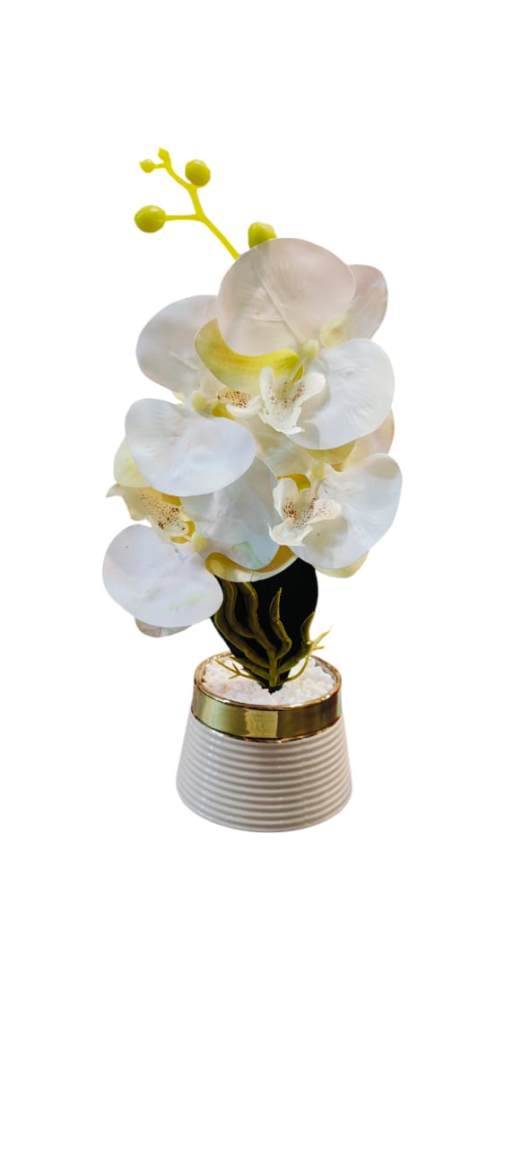 Flower Pot