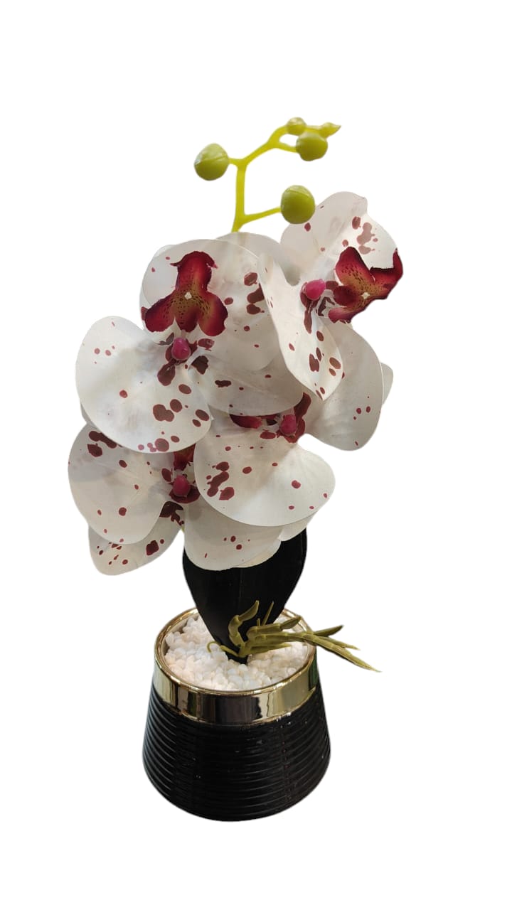 Flower Pot